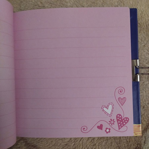 Secret Diary by Rachel Ellen new with colorful pages and lock