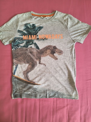 T-shirt H&M with dinosaur print used, size 134 cm for 7-8 years
