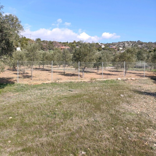 Land plot 9 acres in Vasilika Salamina, buildable, residential area
