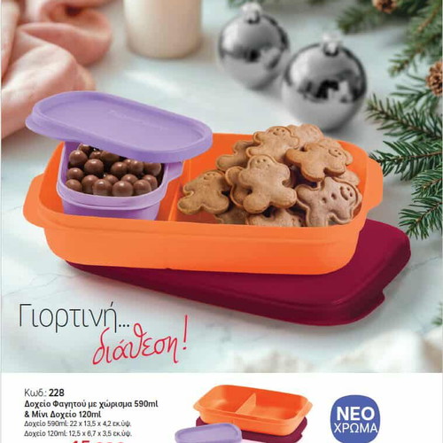 Container with 590 ml compartment and 120 ml small container new
