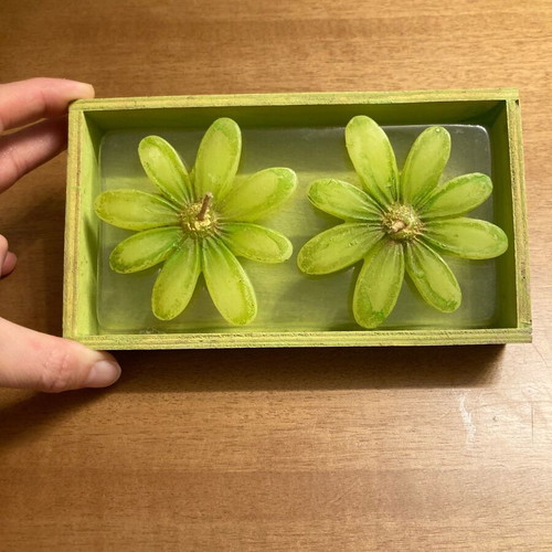 Green flower-shaped tealight candles in wooden base new