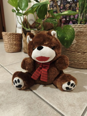 Argoodaki plush bear small size like new Goodys