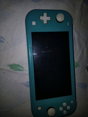 Nintendo Switch Lite used with game set