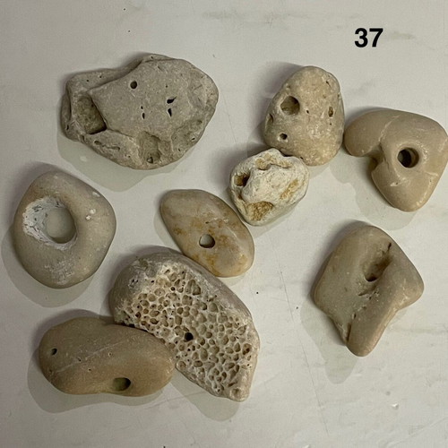 Shells and Pebbles Pack like new for Crafts