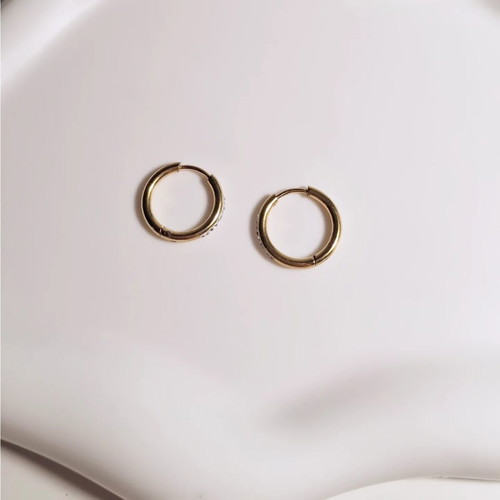 Steel earrings new