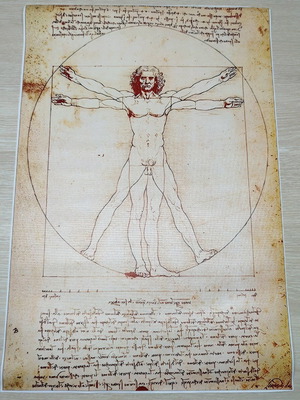Καμβάς Leonardo da Vinci Ο Άνθρωπος του Βιτρούβιου καινούργιος