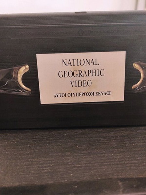 National Geographic These Wonderful Dogs VHS used, documentary with subtitles