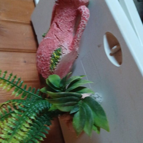 Aquarium like new with filter and decorations