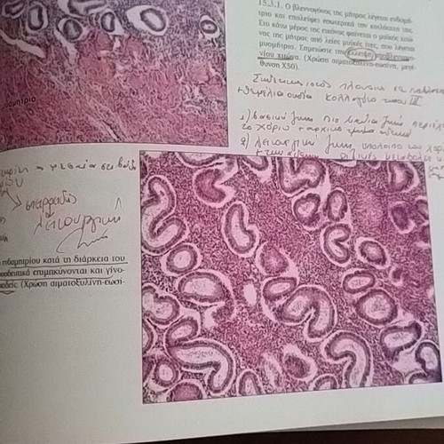 "Atlas of Histology" by the medical publications PASCHALIDIS
