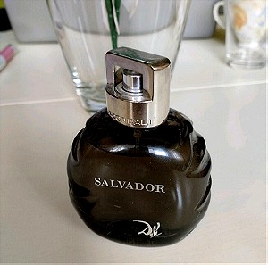 Ανδρικό άρωμα Salvador Dali pour Homme 100 ml.