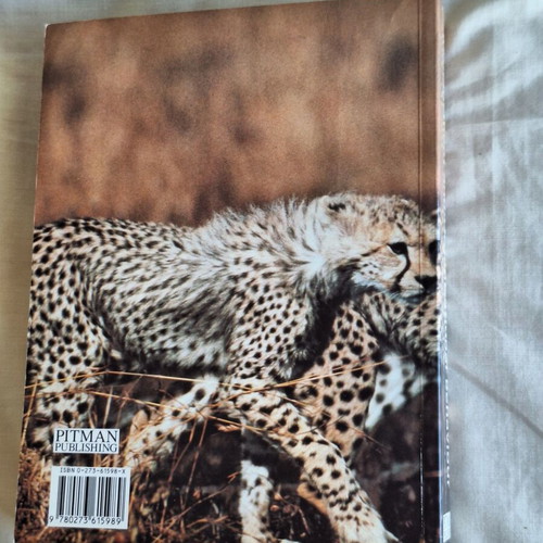Management and Organisational Behaviour Fourth Edition by Laurie J Mullins