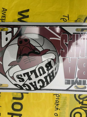 Chicago Bulls NBA sign Champions new