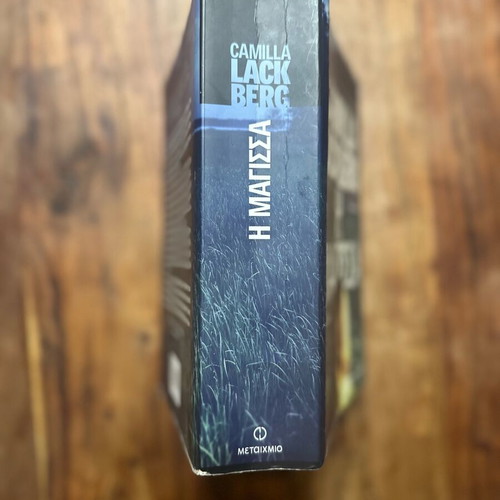 The Witch book like new