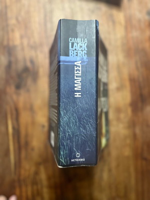 The Witch book like new