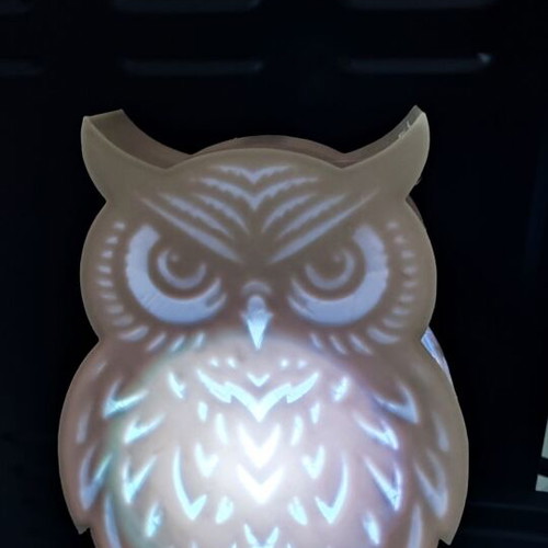 Owl lamp 3d printed new color changing