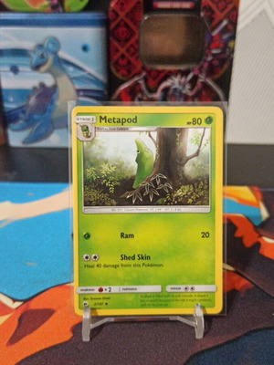 Metapod Pokémon card