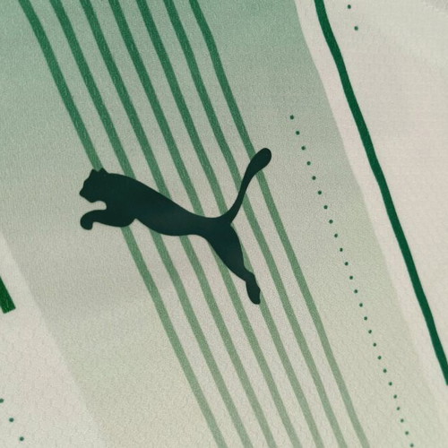 Palmeiras Puma 2023 jersey size S like new