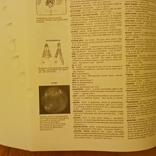 McGraw-Hill Dictionary of Scientific and Technical Terms new English dictionary