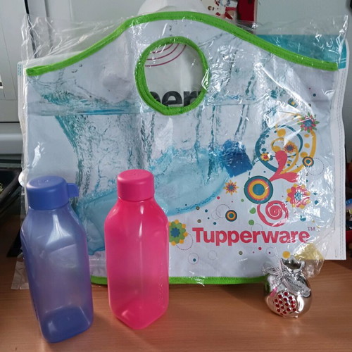 Tupperware carrying bag new with two square bottles