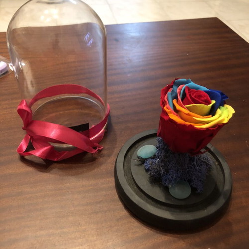 Forever Rose rainbow in glass dome with wooden base