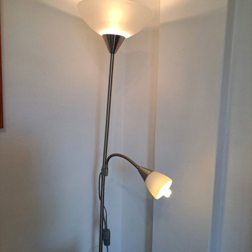 Floor lamp used with 2 adjustable lights