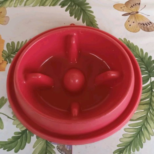 Slow feeder bowl used, medium size, fuchsia