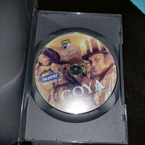 Goya in Bordeaux DVD foreign cinema