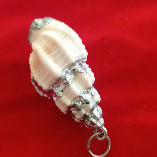 Pendant natural seashell like new, beige and silver finish