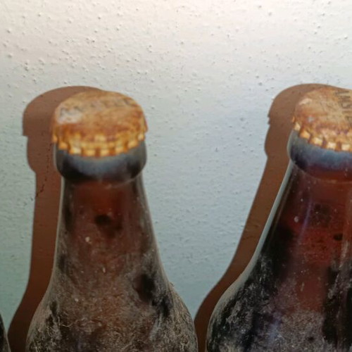 Vintage Amstel beers pack with sealed bottles