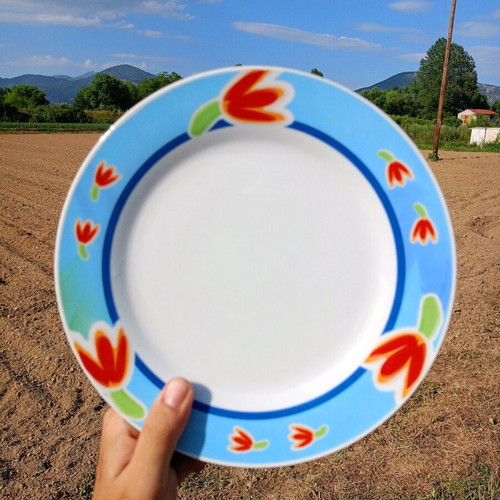 Fine Porcelain plates used, set of 7 with blue and yellow designs