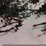 Χριστουγεννιάτικα λαμπάκια εσωτερικού χώρου