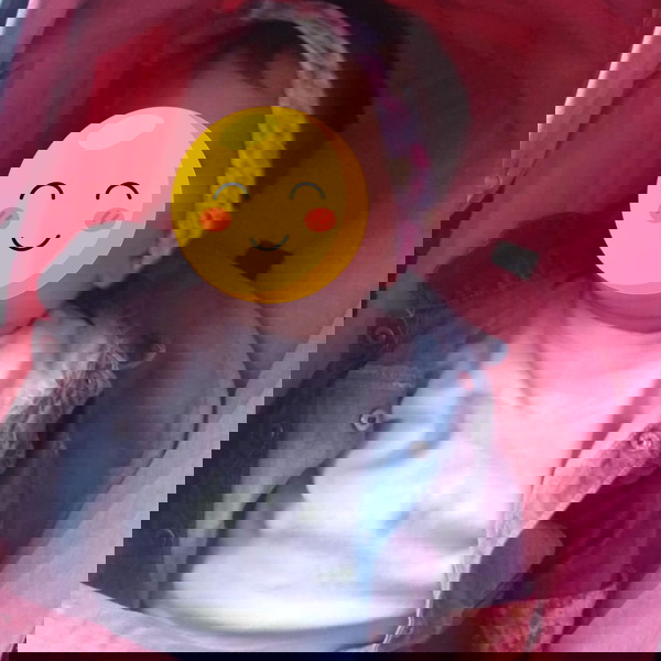 Lorelli Alba Ρυθμιζόμενο Καρότσι 3 σε 1 Candy Pink