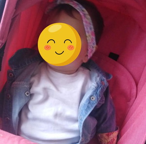 Lorelli Alba Ρυθμιζόμενο Καρότσι 3 σε 1 Candy Pink