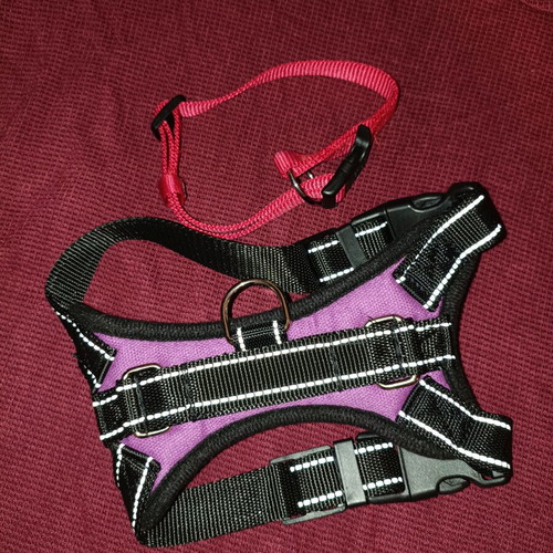 Harness and collar like new, sizes XS and S/M