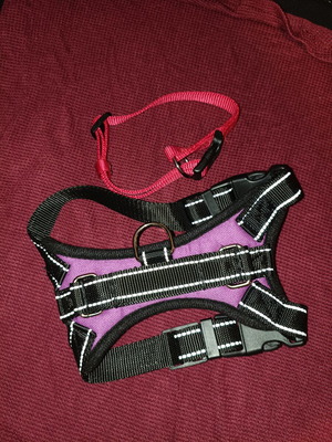 Harness and collar like new, sizes XS and S/M