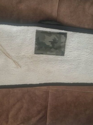 Gun case used