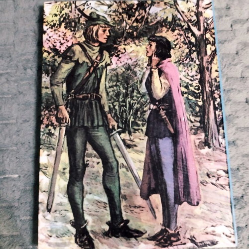 Robin Hood children's book used