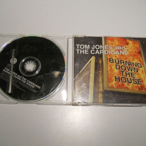 Tom Jones and The Cardigans Burning Down The House CD used, electronic