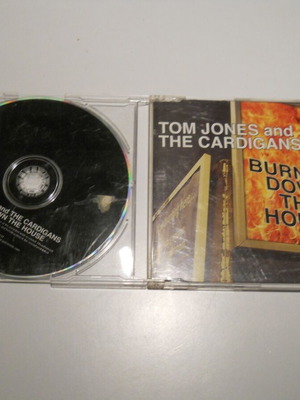 Tom Jones and The Cardigans Burning Down The House CD used, electronic