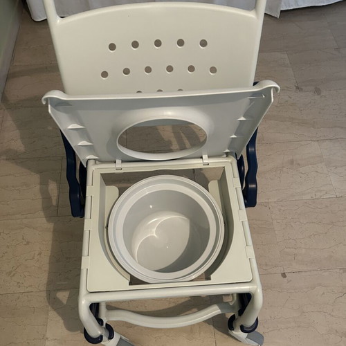 Robotec bath wheelchair
