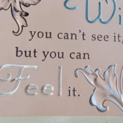 Seagull Eloquence Decorative Wooden Frame used, "A Walk to Remember"