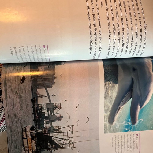National Geographic book Wild Animals Dolphins like new