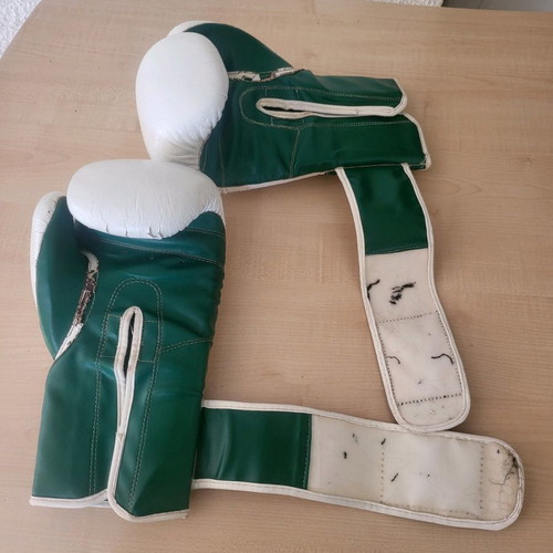 Leone boxing gloves used
