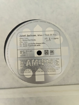 Janet Jackson When I Think Of You 12" vinyl, Deep Dish / Heller & Farley mixes