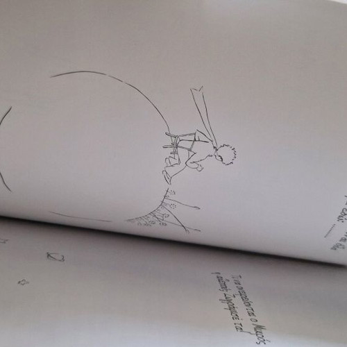 The Little Prince book new