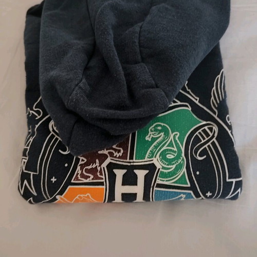 Harry Potter kids' sweatshirt used, Sinsay, blue, 5 years old