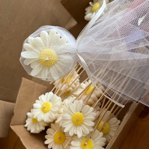 Soy wax bomboniere new in various colors and scents