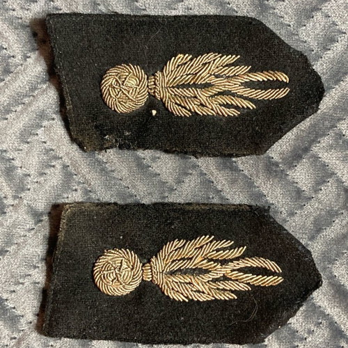 Interwar Military Insignia used