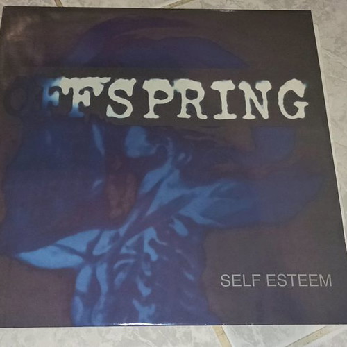 The Offspring vinyl record used, Self Esteem
