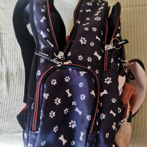 School bag set used with lunch bag and pencil case